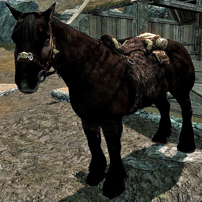 Horse (Skyrim) | Elder Scrolls | FANDOM powered by Wikia