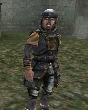 Imperial Archer Morrowind Elder Scrolls Fandom,Class 10 Waqt Ki Pabandi Urdu Essay