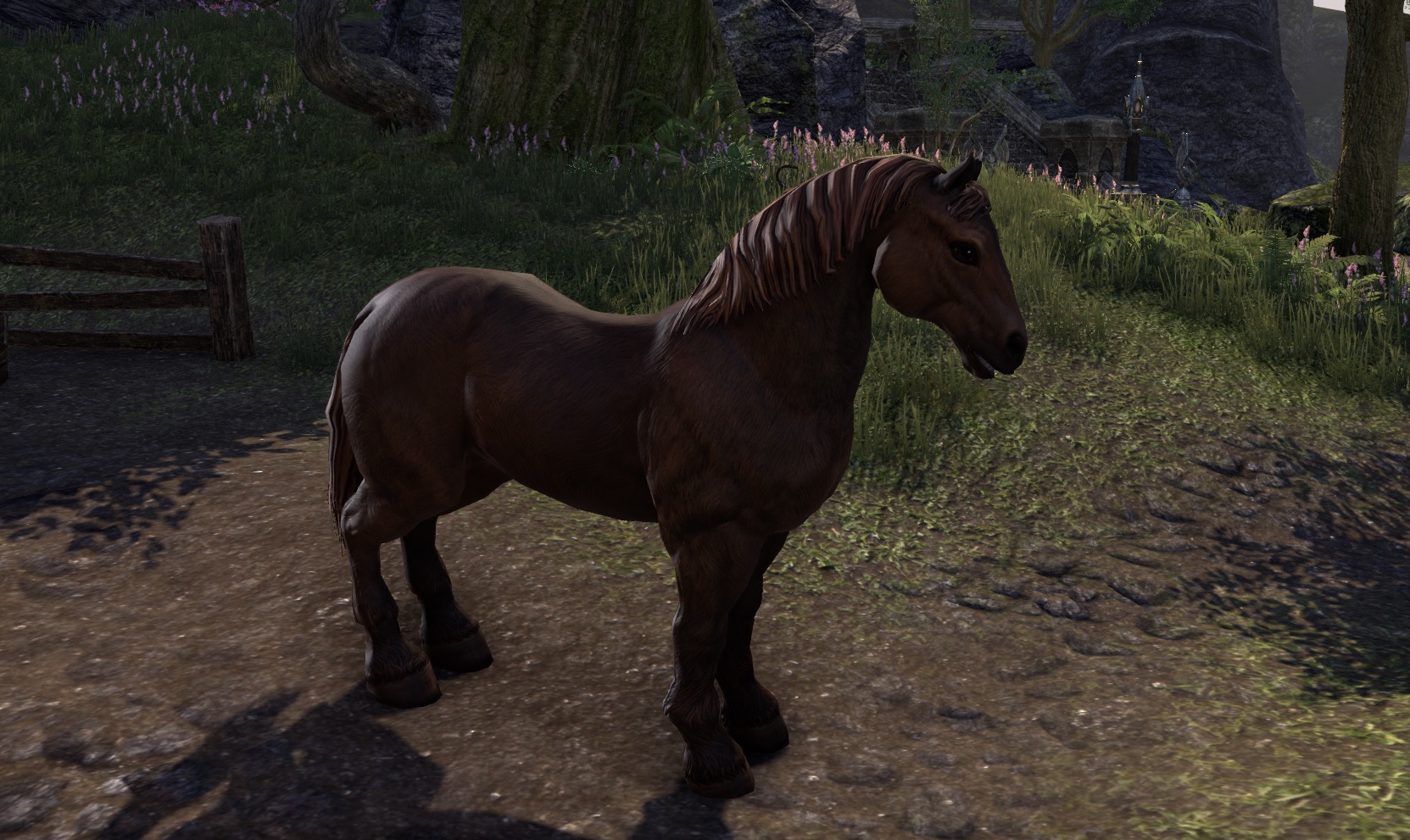 elder scrolls online how to get a horse