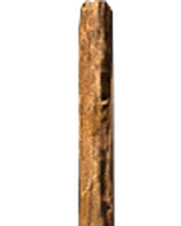 Broom Skyrim Elder Scrolls Fandom