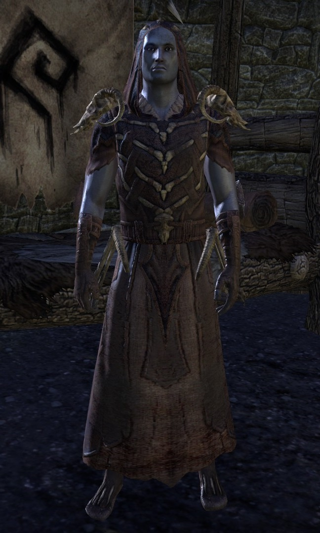 class shaman followers class shaman followers