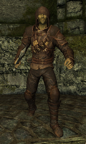 File:Summerset Shadow.png