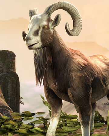 Chevre De Queue De Dragon Wiki The Elder Scrolls Fandom