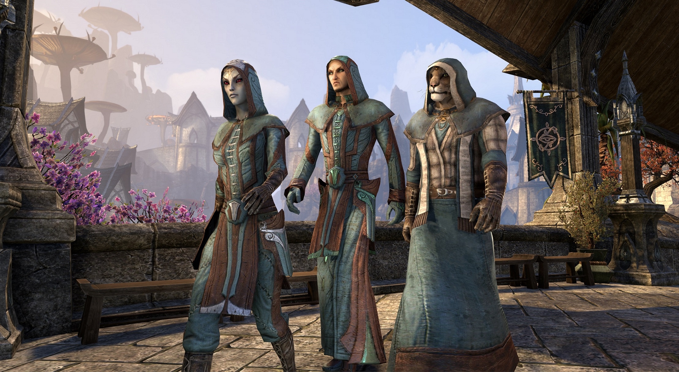 eso the soul meld mage