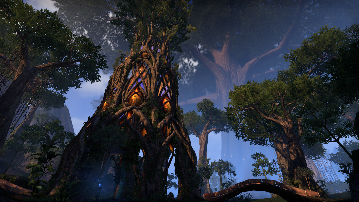 Grahtwood  Elder Scrolls  Fandom