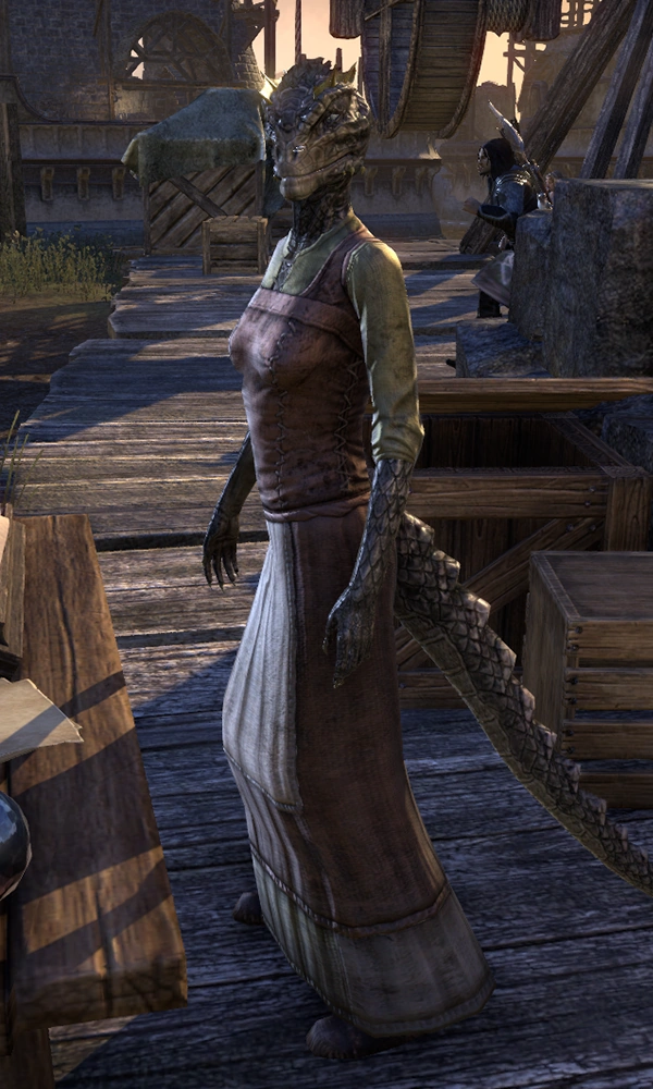 CategoryESO Morrowind General Goods Merchants Elder Scrolls