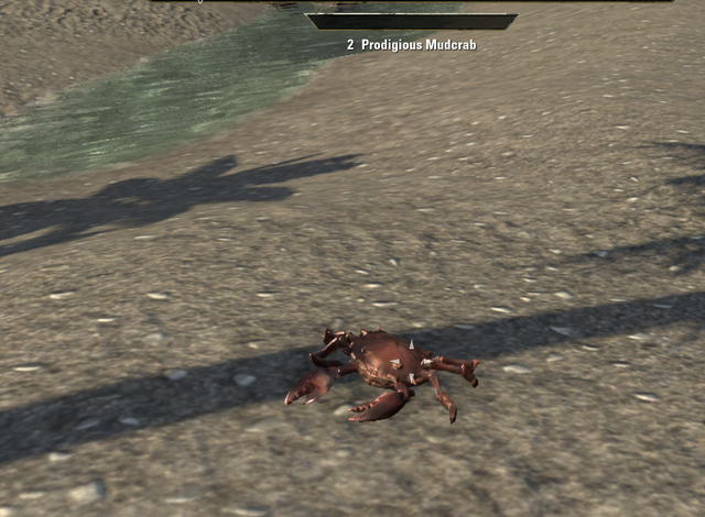 File:Prodigious Mudcrab.png