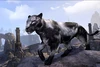Shadowghost Senche-Panther