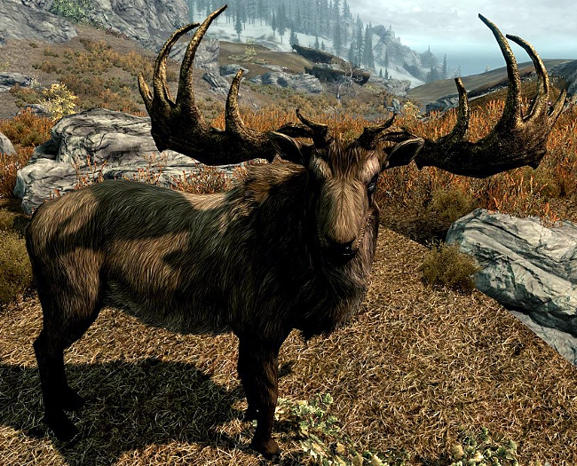 Elk (Skyrim) Elder Scrolls FANDOM powered by Wikia