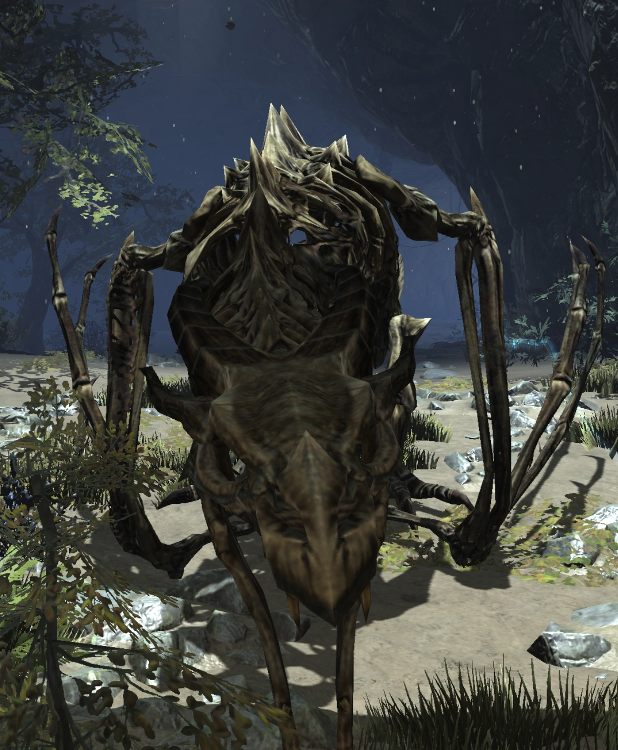 Undead Dragon Elder Scrolls Fandom