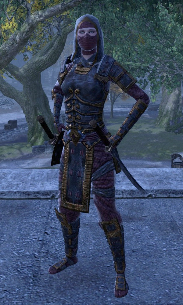 Drake of Blades Elder Scrolls FANDOM powered by Wikia