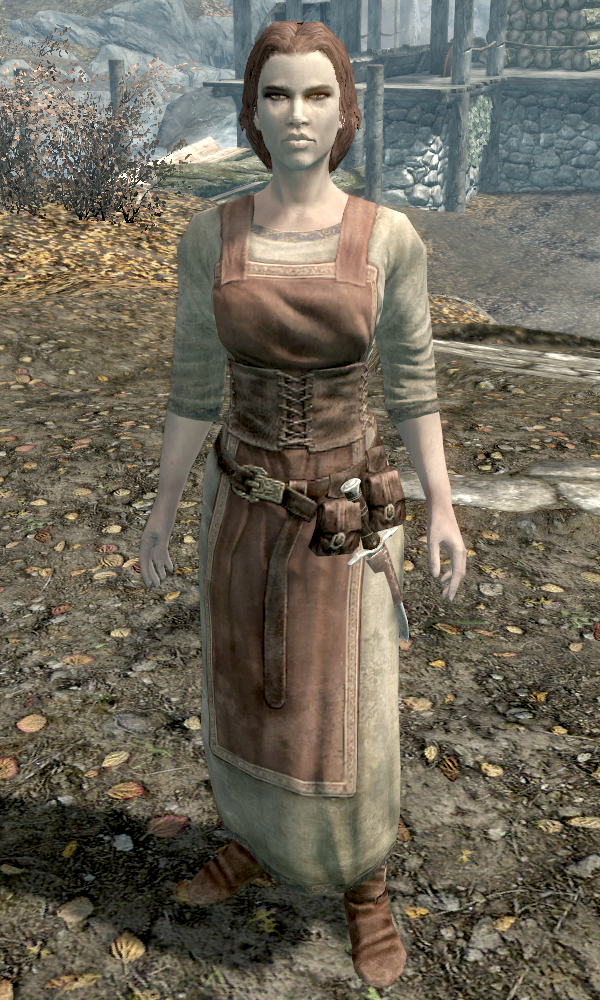 Skyrim star trek mod