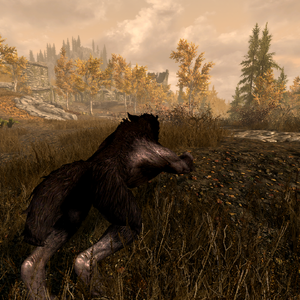 Lycanthropy Skyrim Elder Scrolls Fandom