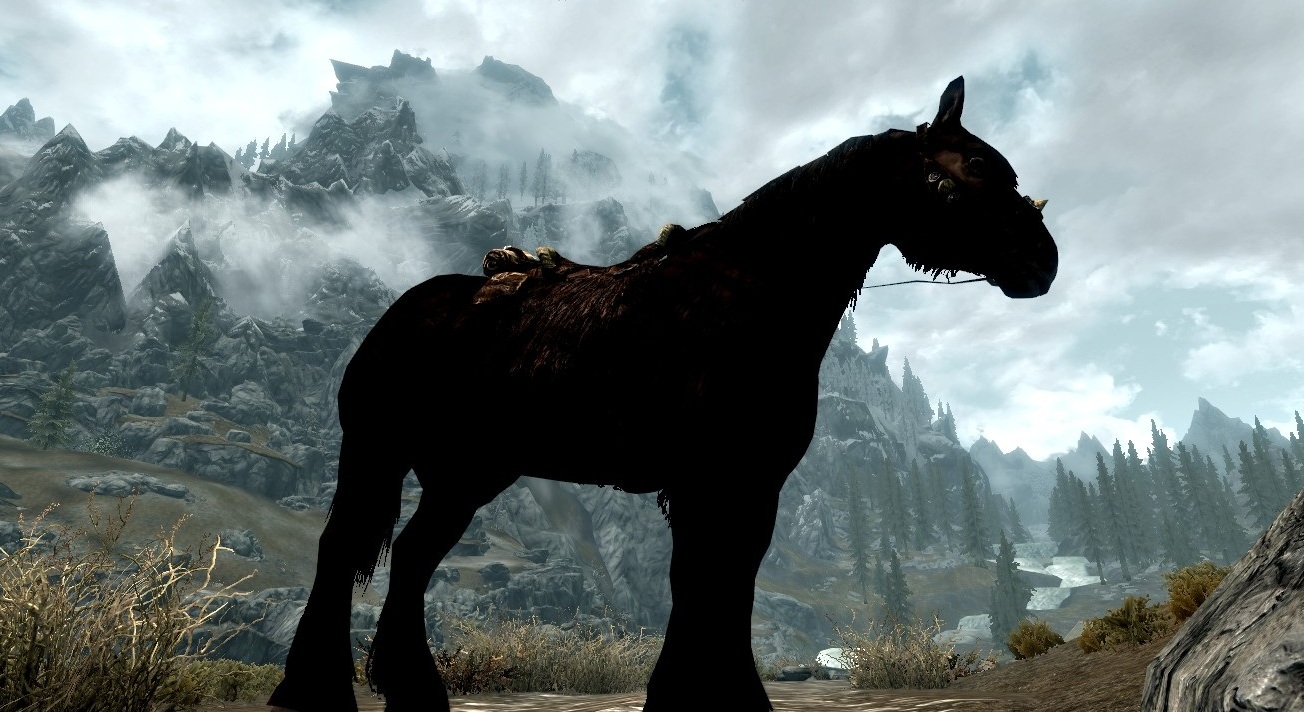 Horse Skyrim Elder Scrolls Fandom Powered By Wikia Borrowing And Stealing Black Horse Skyrim