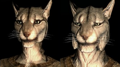Khajiit Elder Scrolls Fandom
