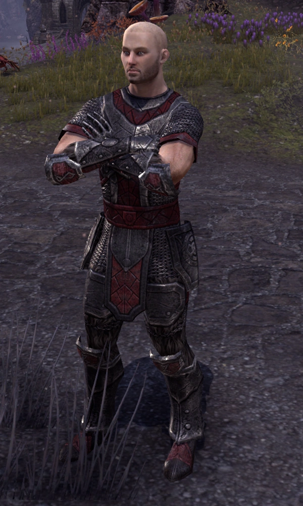 Sergeant Gjorring | Elder Scrolls | FANDOM powered by Wikia