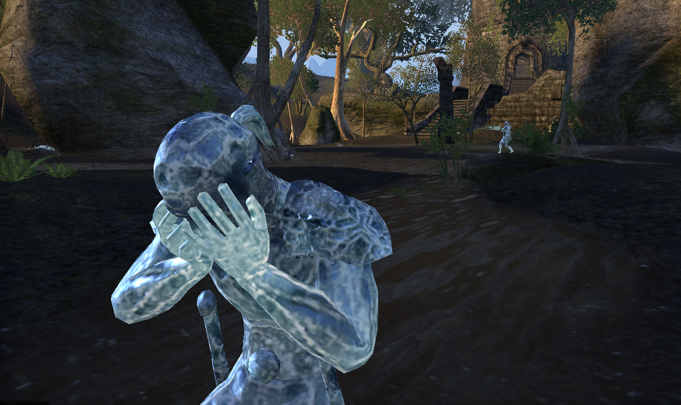the amronal of valenwood