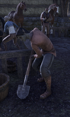 File:Seltin.png