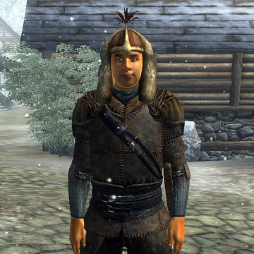 Bruma Militia Elder Scrolls Fandom