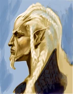 High Elf Face.jpg (171 KB) High Elf Face