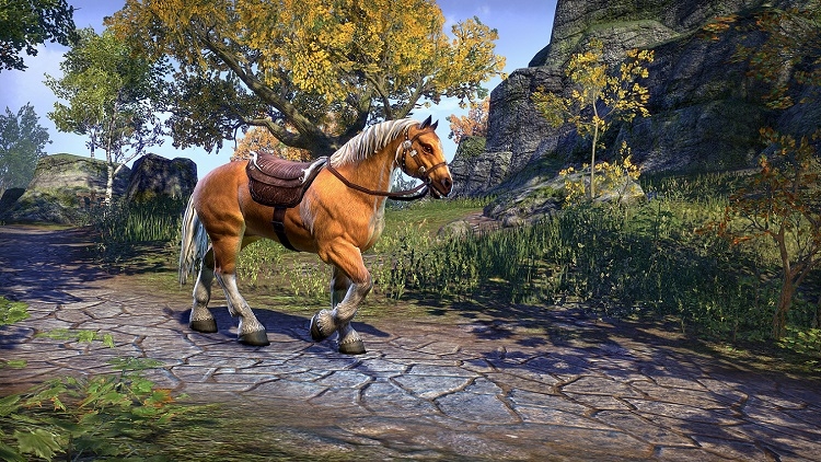 elder scrolls online horse
