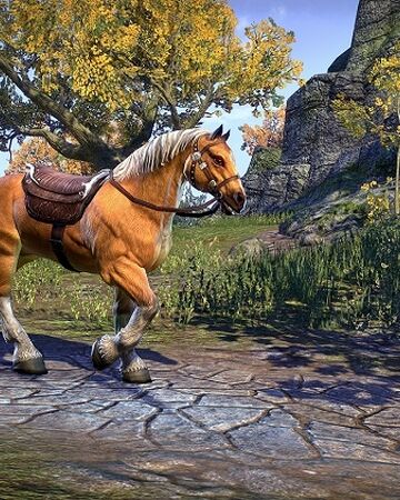 Palomino Horse Elder Scrolls Fandom