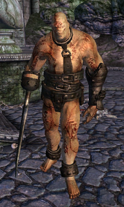 Guardiano (Shivering Isles)