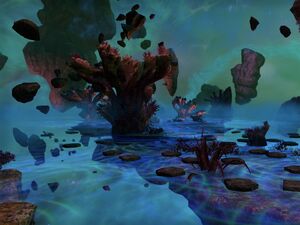 The Colored Rooms (Online)