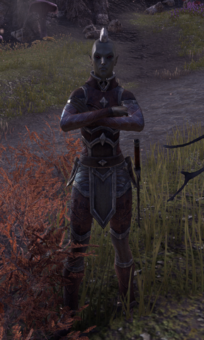 File:Riinsi Dreloth.png