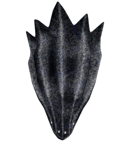 File:Dark Seducer Shield.png