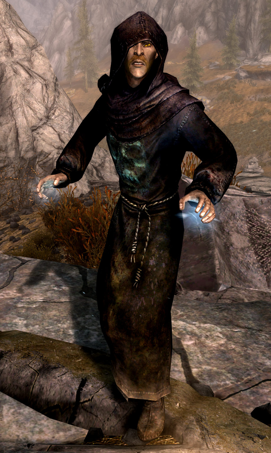 the elder scrolls oblivion dlcs the elder scrolls oblivion dlcs