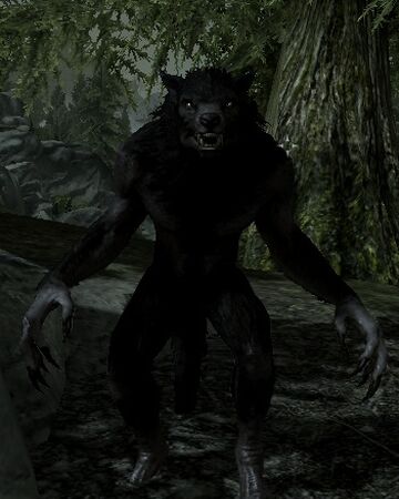 Werewolf Elder Scrolls Fandom