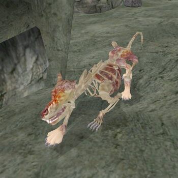Morrowind Restore Fatigue Spell Morrowind Restore Fatigue Spell