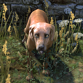 latest?cb=20140317152101