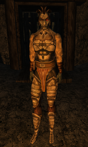 Light Armor Trainer Morrowind