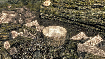 Wood Chopping Block | Elder Scrolls | Fandom