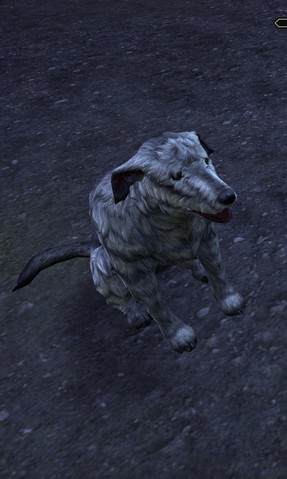File:Barbas (Online).png