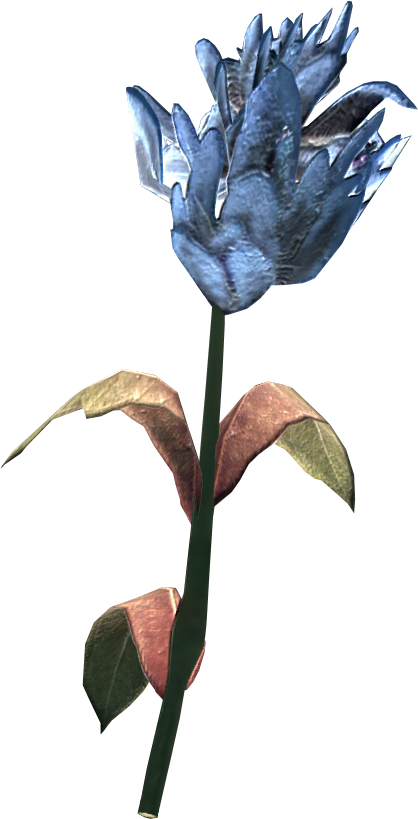 Blue Mountain Flower | Elder Scrolls | FANDOM powered by Wikia
