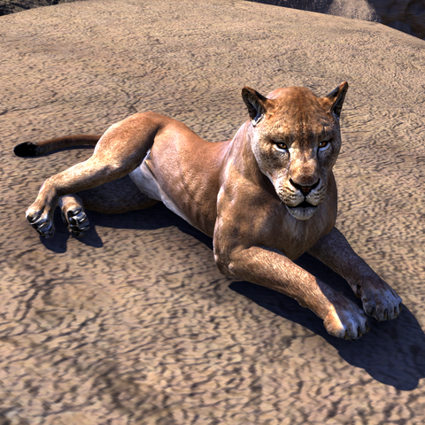 File:ESO Lioness.png
