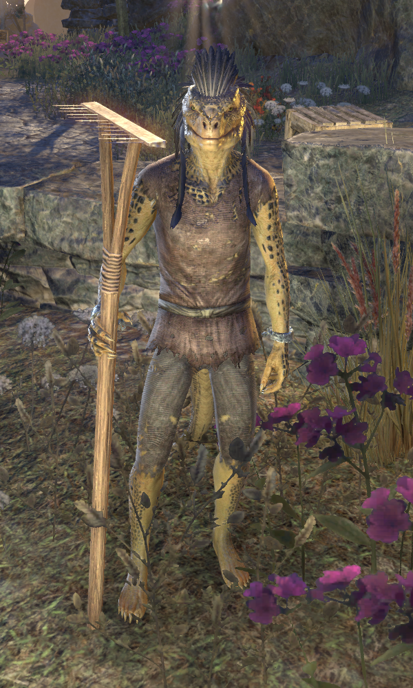 LF1M Argonian Hairstyle — Elder Scrolls Online