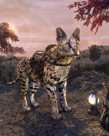 Sapiarchic Senche Serval Elder Scrolls Fandom
