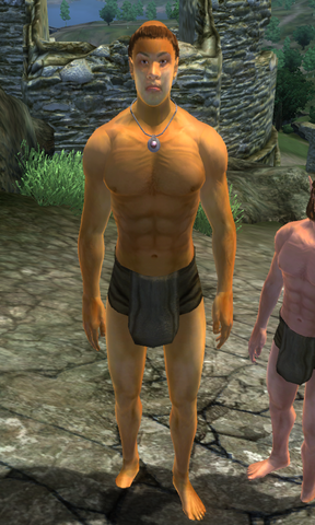 File:Todd's Tester Man.png