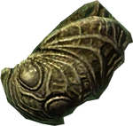 Ringofnamira