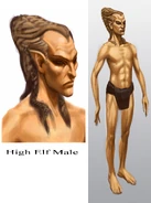 High Elf Male.jpg (394 KB) High Elf Male