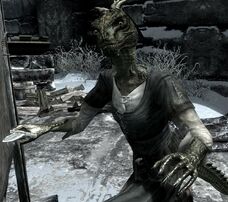 Shahvee Skyrim