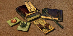 Klasa Uzdrowiciel (Morrowind)