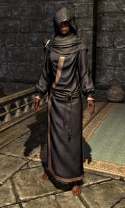 Hooded Blue Robes 00010710A