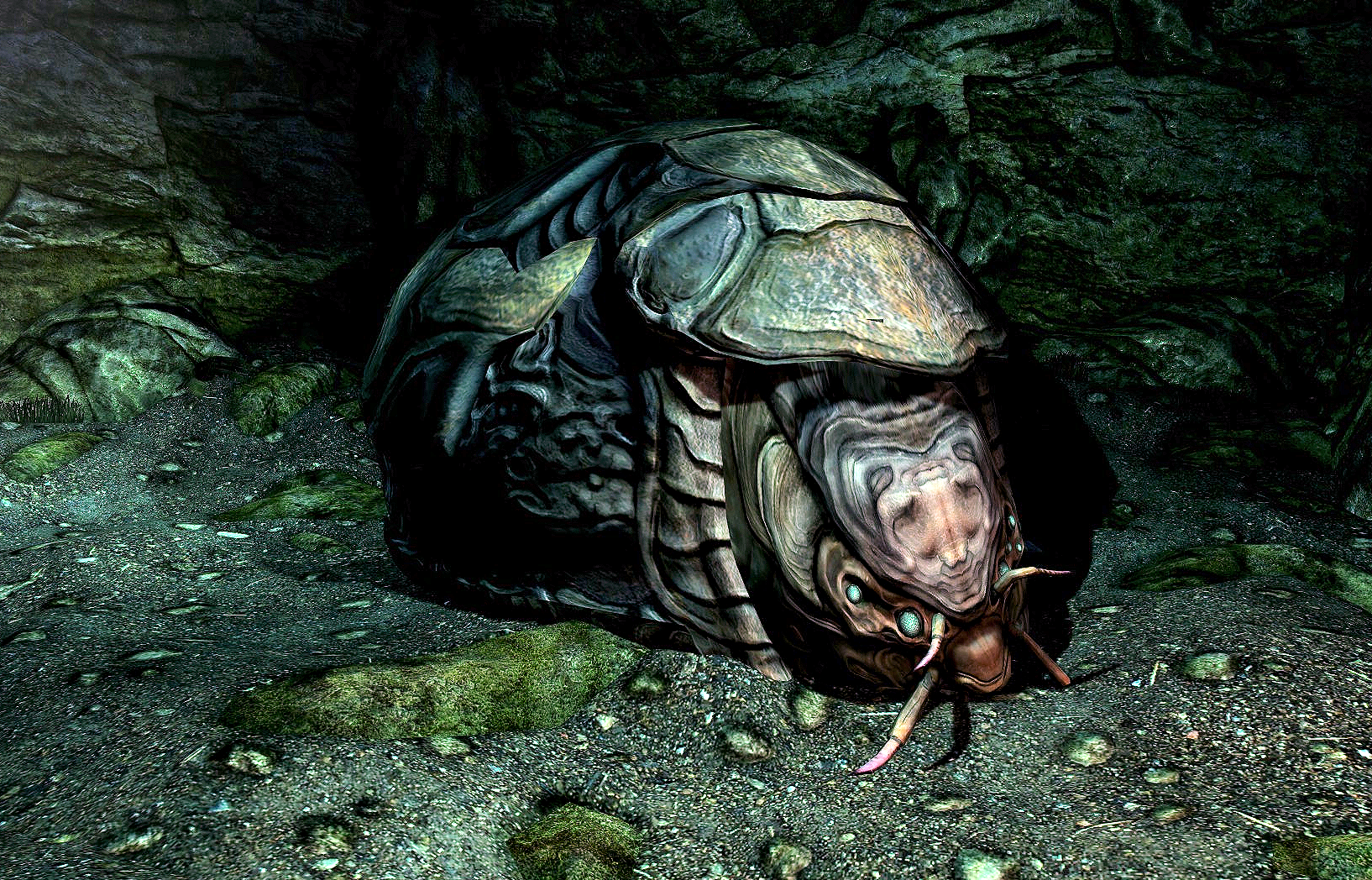 Shellbug Elder Scrolls Fandom