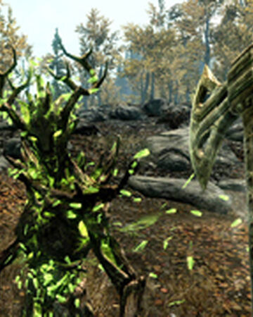 Wallpaper Spriggan Shield Elder Scrolls Fandom For iPhone Free