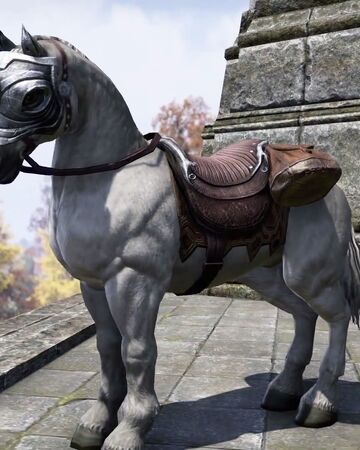 Imperial Horse Elder Scrolls Fandom